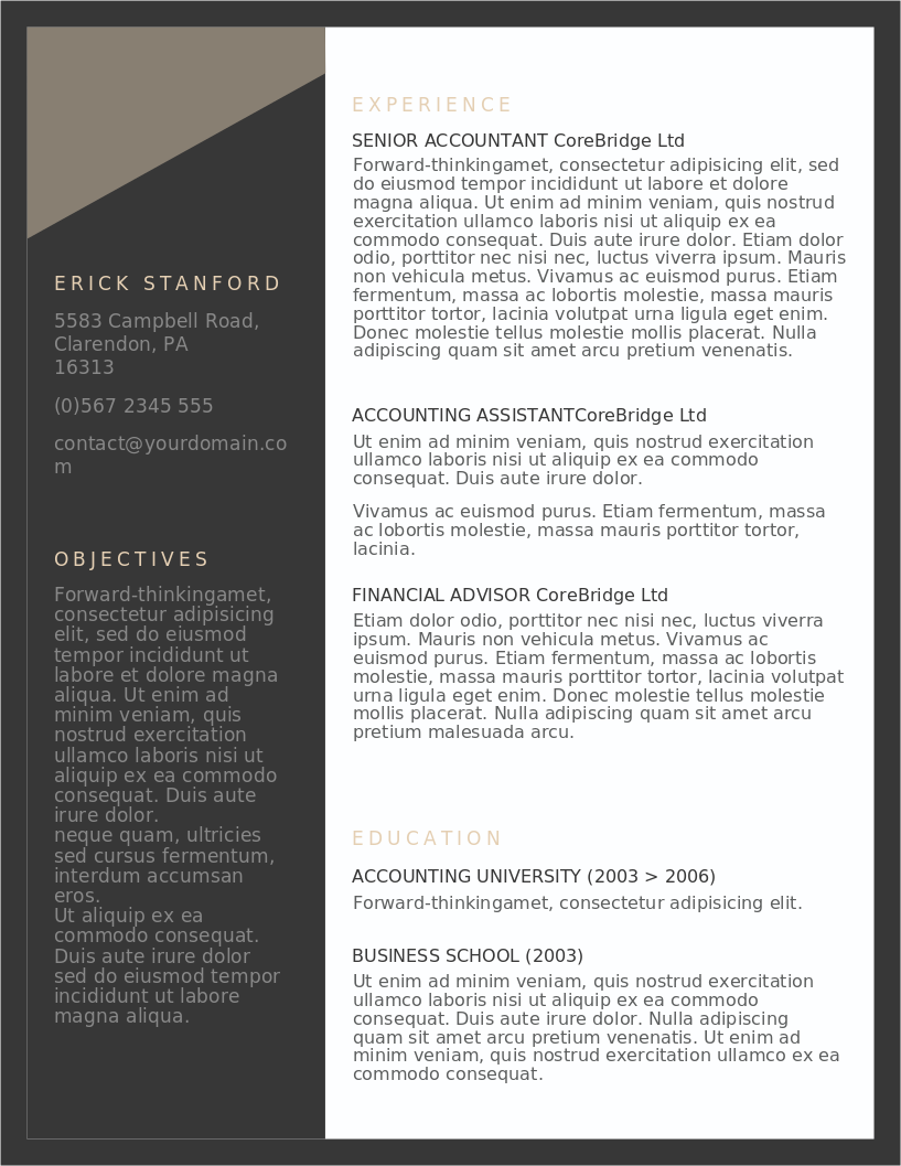 The Executive Grey CV – anteprima